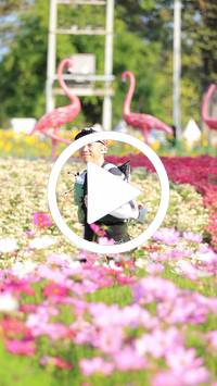 BIB:  <button type="button" onclick="openModal(27583625)" class="btn btn-primary btn-sm float-right" data-toggle="modal" data-target=".modal-high-quality">
                <i class="fa fa-download"></i> Download
                </button>